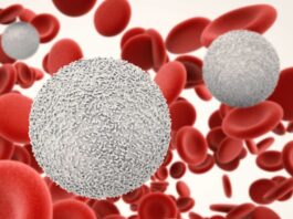How To Maintain Lymphocytes Naturally