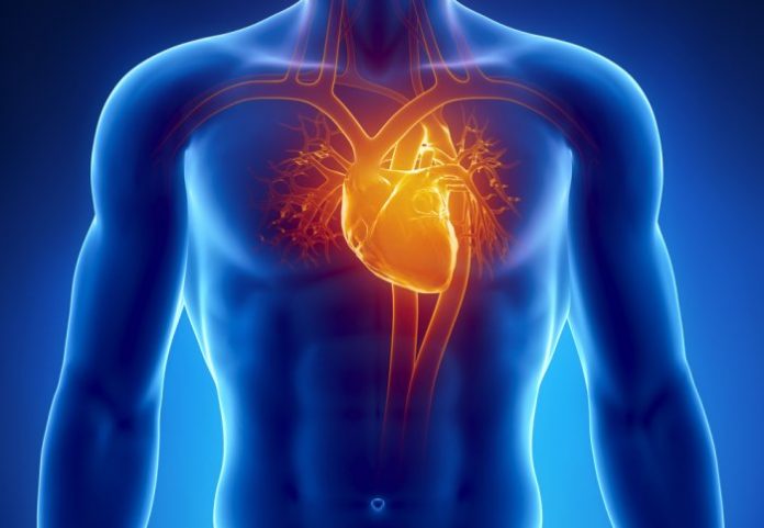 Natural heart disease treatments