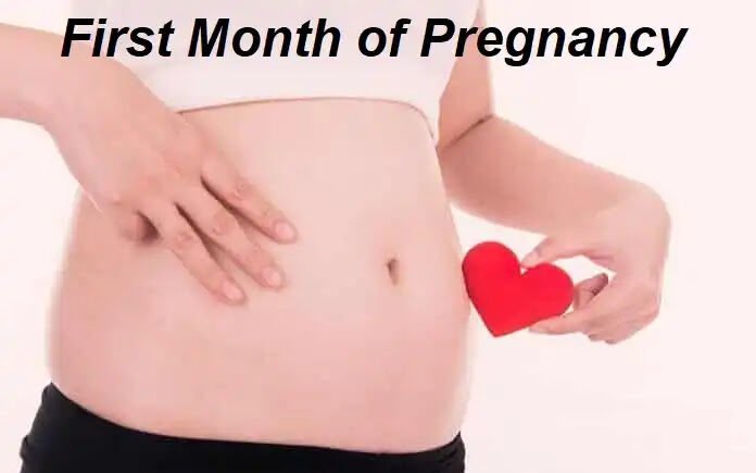 First Month of Pregnancy