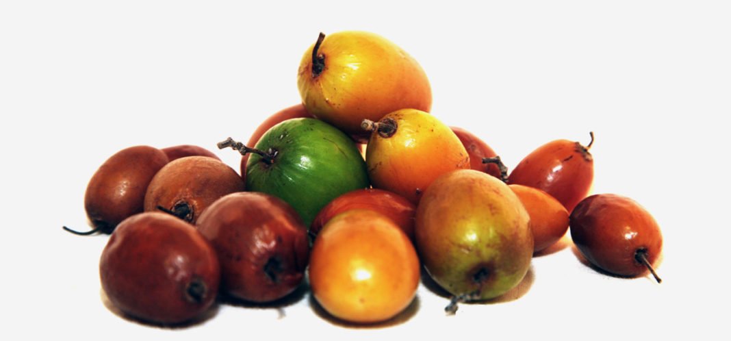 Health benefits of jujube