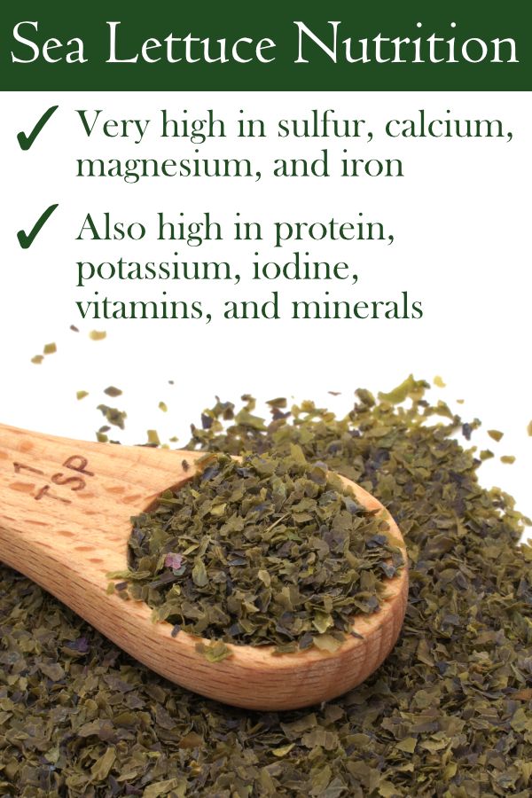 Health Benefits of Sea Lettuce