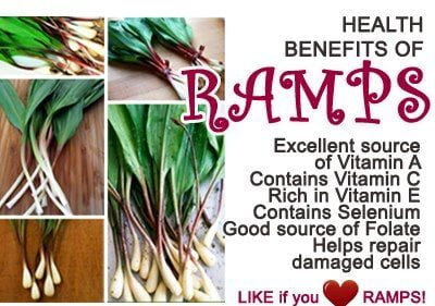 Health benefits of ramp