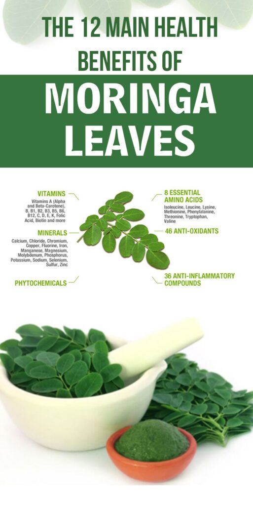 Moringa Tea: 12 Amazing Health Benefits 