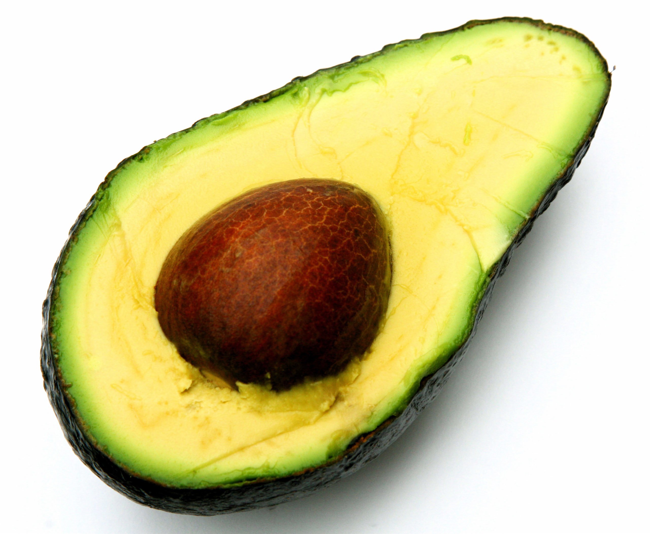 Avocado Thottie: Fighting Back Against The Haters