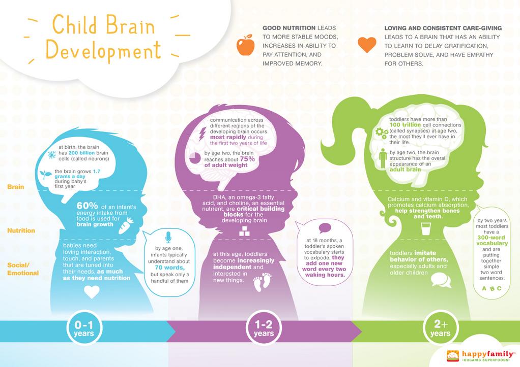 The Importance Of A Child Brain Development