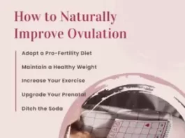 How To Maintain Healthy Ovulation Naturally