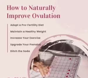 How To Maintain Healthy Ovulation Naturally