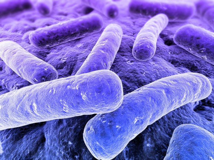 C. difficile