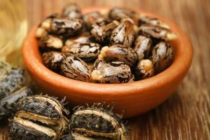 castor seed oil health benefits