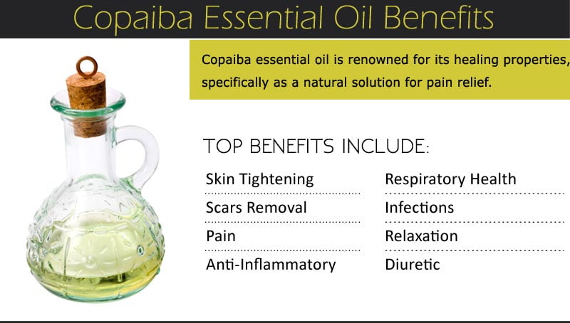 Copaiba Oil: Top 7 Amazing Health Benefits Health Benefits of Copaiba Oil