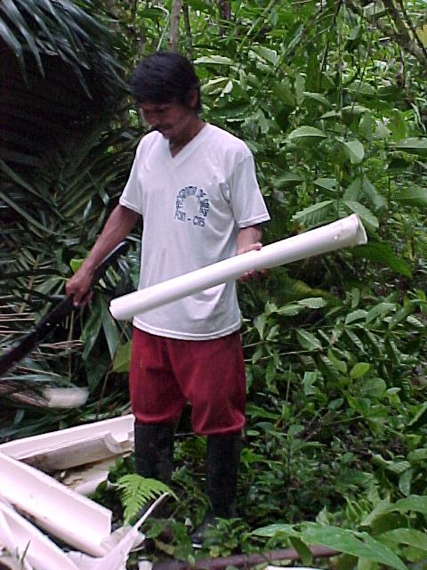 Health Benefits of Heart of Palm   Heart of Palm