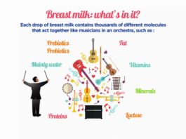Composition of breast milk