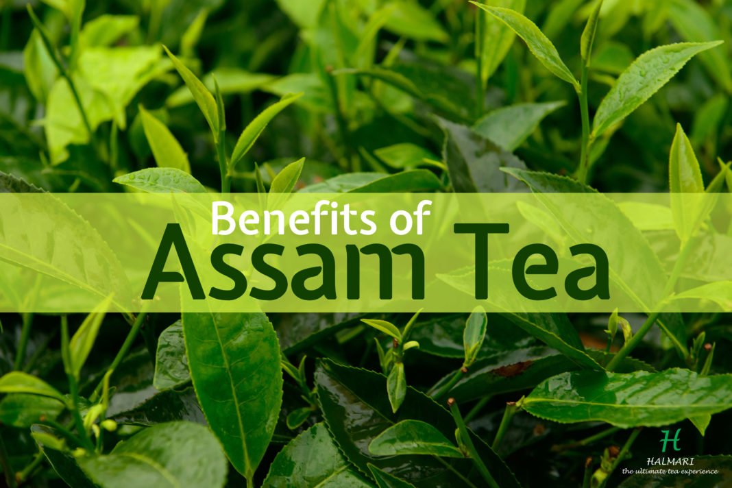 Health benefits of Assam tea