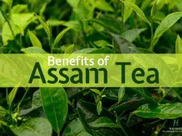 Health benefits of Assam tea