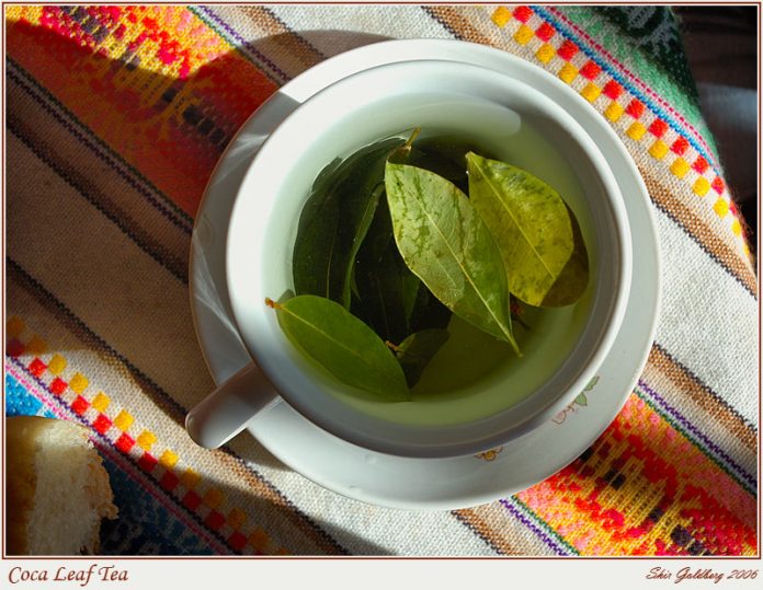 Health benefits of coca tea