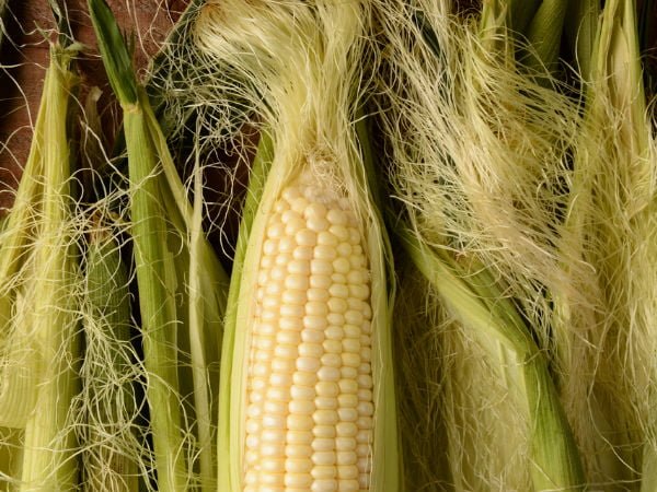 Health benefits of corn silk
