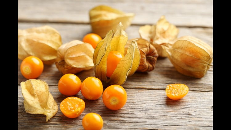 Health benefits of cutleaf ground cherry Health benefits of cutleaf ground cherry