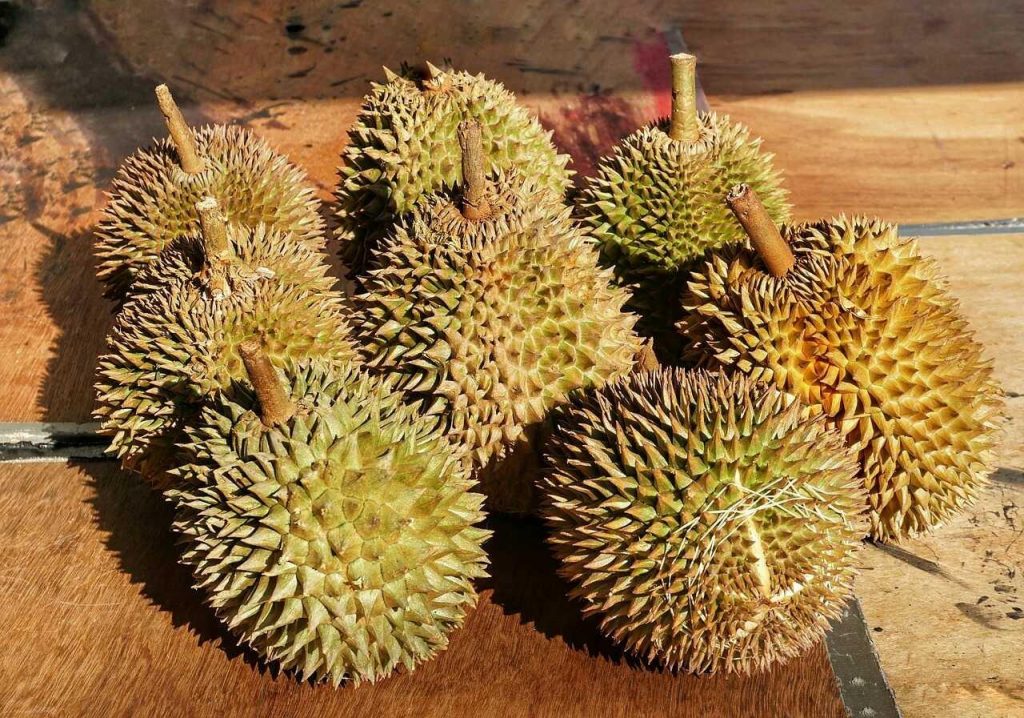 Health benefits of durian fruit
