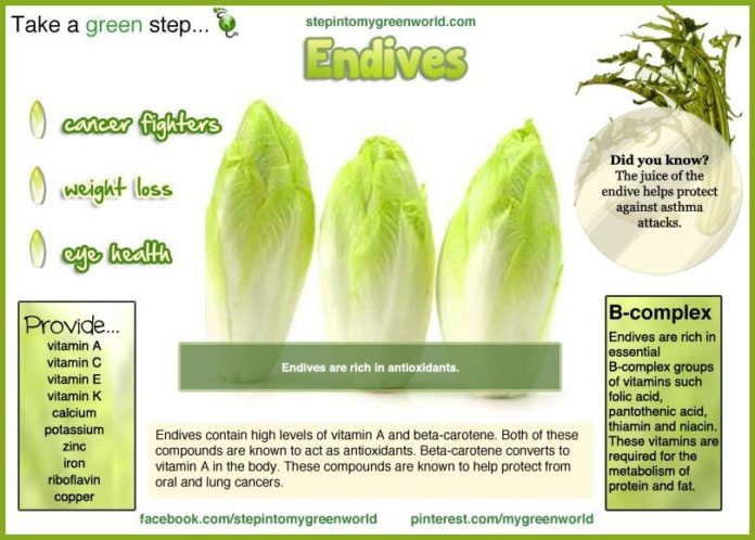 Health benefits of endive1