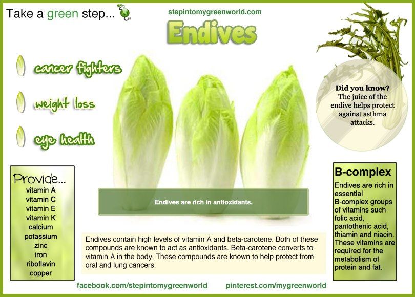Health Benefits Of Endive Amazing Top 8 Benefits