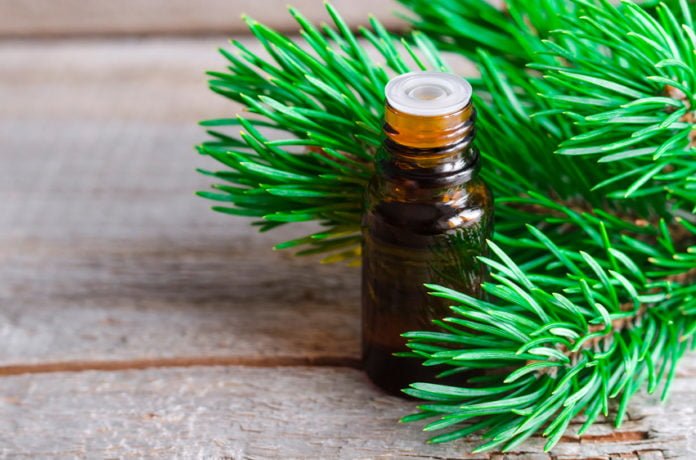 Health benefits of fir needle essential oil