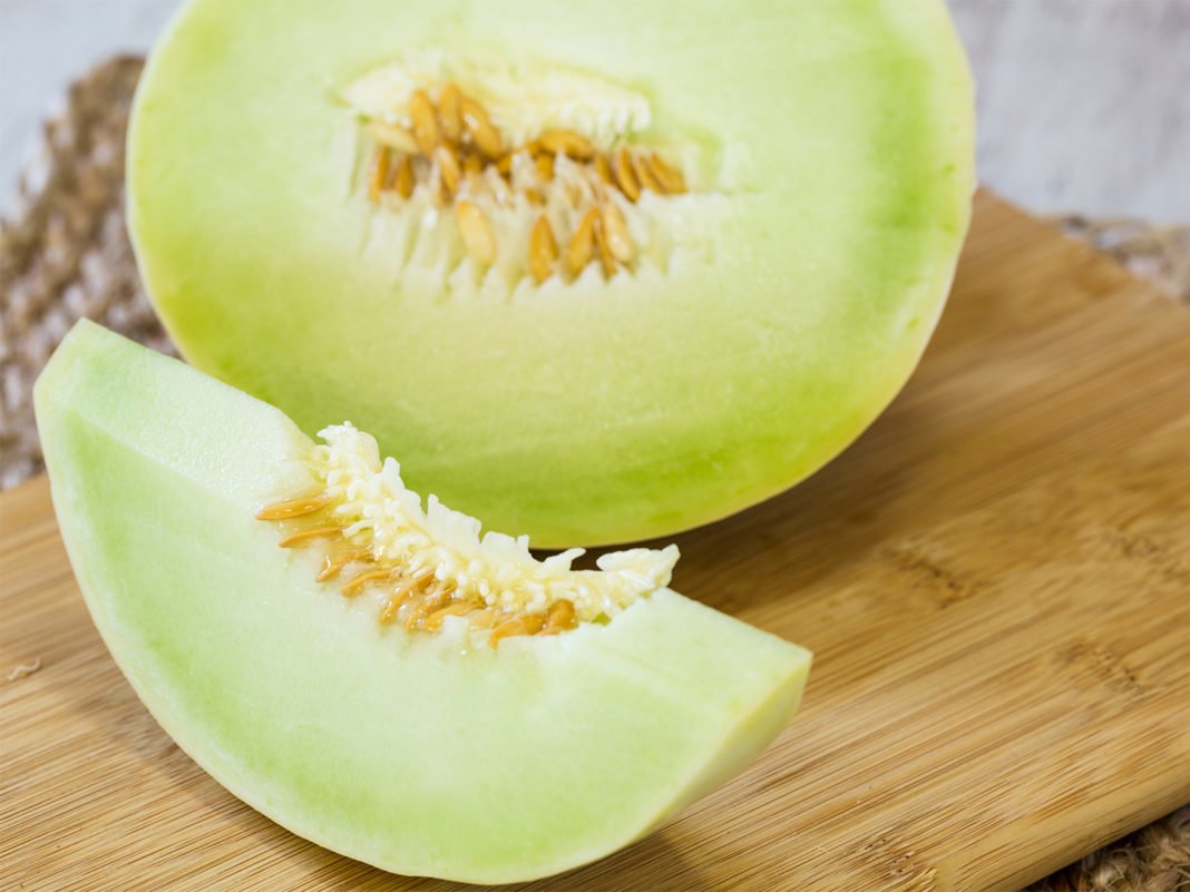 Great Galia Melons Top 7 Benefits Delays Ageing Process