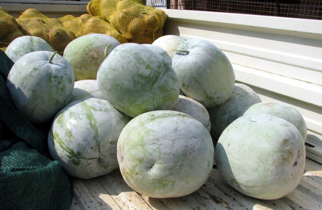 Health benefits of hairy gourd