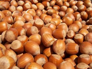 Health benefits of hazelnuts