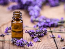 Health benefits of lavender tea