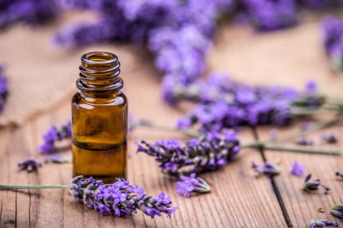 Health benefits of lavender tea