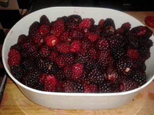Health benefits of loganberry