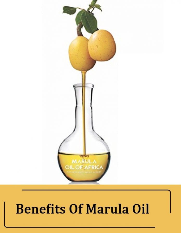 Health Benefits Of Marula Oil Keeps Hair And Scalp Healthy And