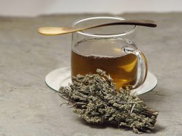 Health benefits of mugwort tea