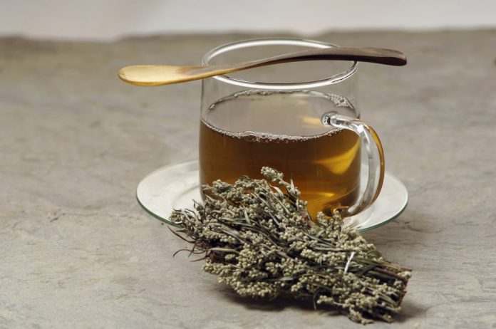 Health benefits of mugwort tea