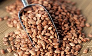 Pinto beans can prevent digestive disorders like bowel syndrome Health benefits of pinto beans