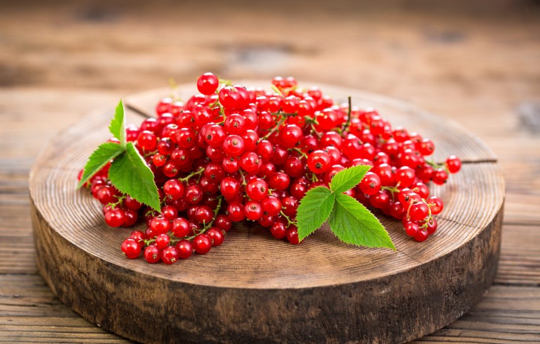 Health benefits of redcurrant Health benefits of redcurrant