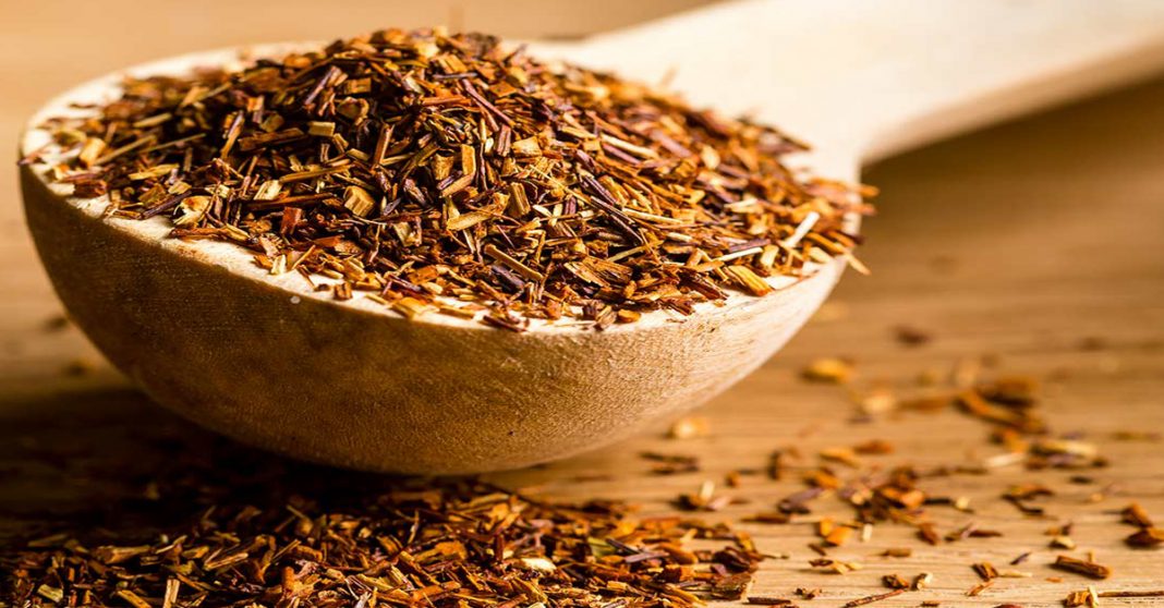 Rooibos tea can prevent heart attacks, strokes and cancer