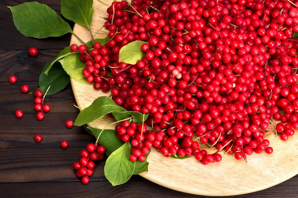 schisandra berry 11 Emerging health benefits of schisandra berry