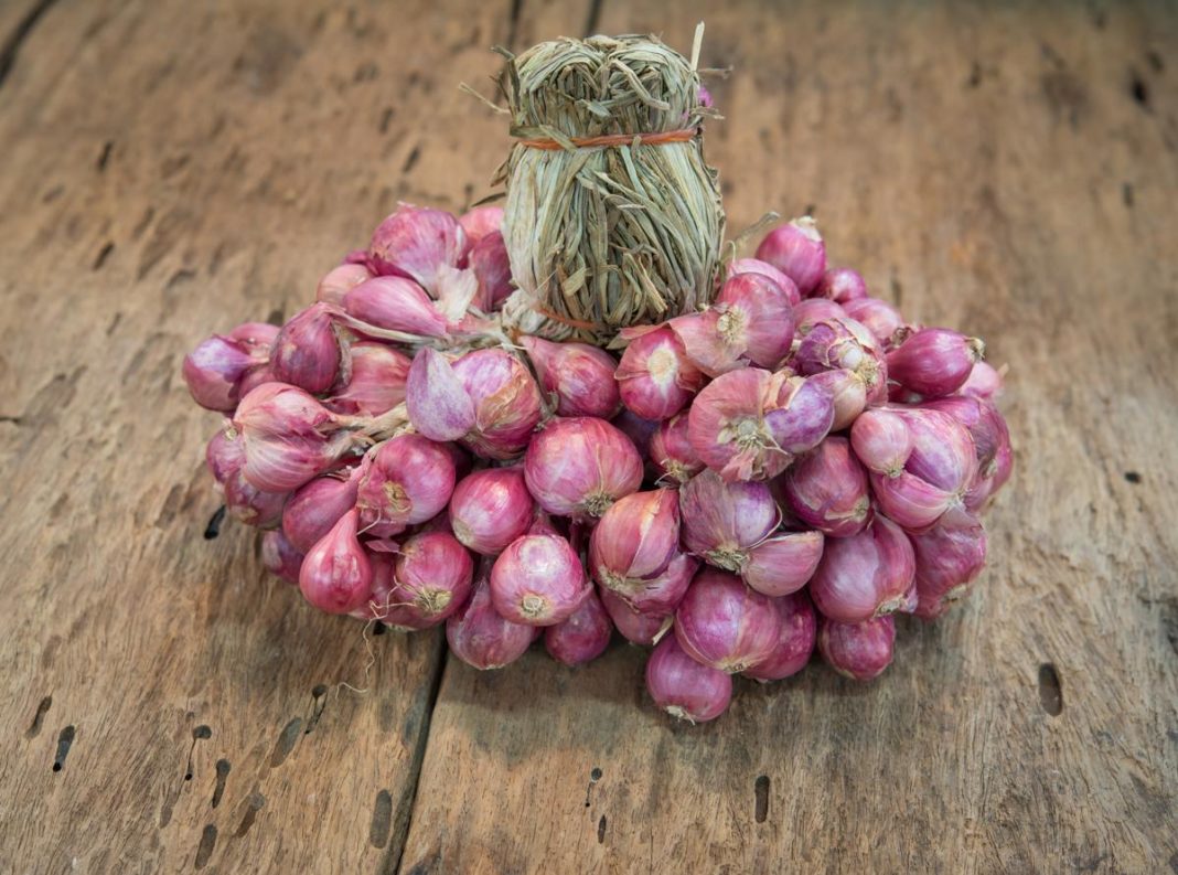 Health benefits of Shallots Health benefits of shallots