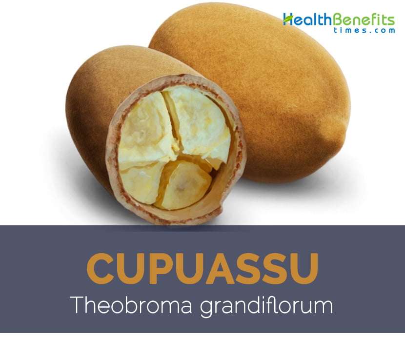 Amazing health benefits of cupuacu fruit