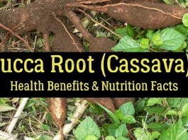 Health benefits of yucca root