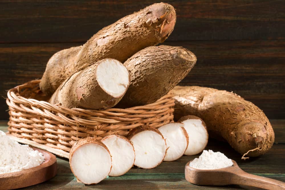 Health benefits of yucca root