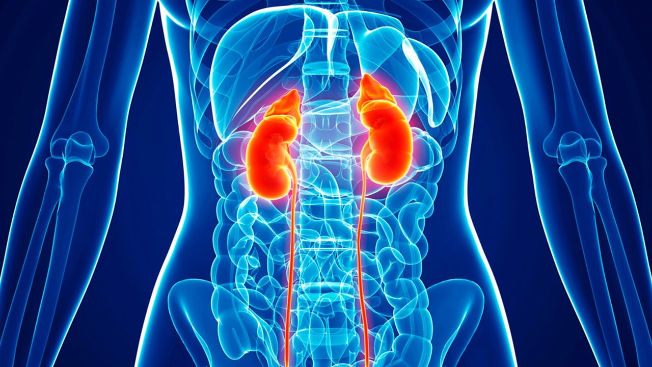 Kidney Cancer Signs Symptoms Causes And Risk Factors