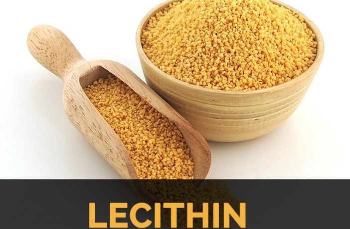 Main-image-of-Lecithin-702x459 Health benefits of lecithin