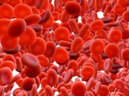 Natural cures for low white blood cell count