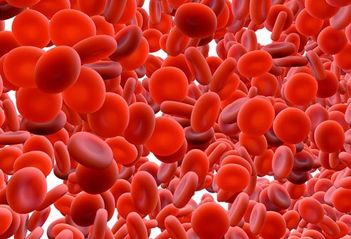 Natural cures for low white blood cell count