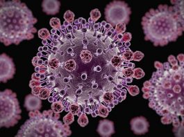 Natural cures for virus H1N1