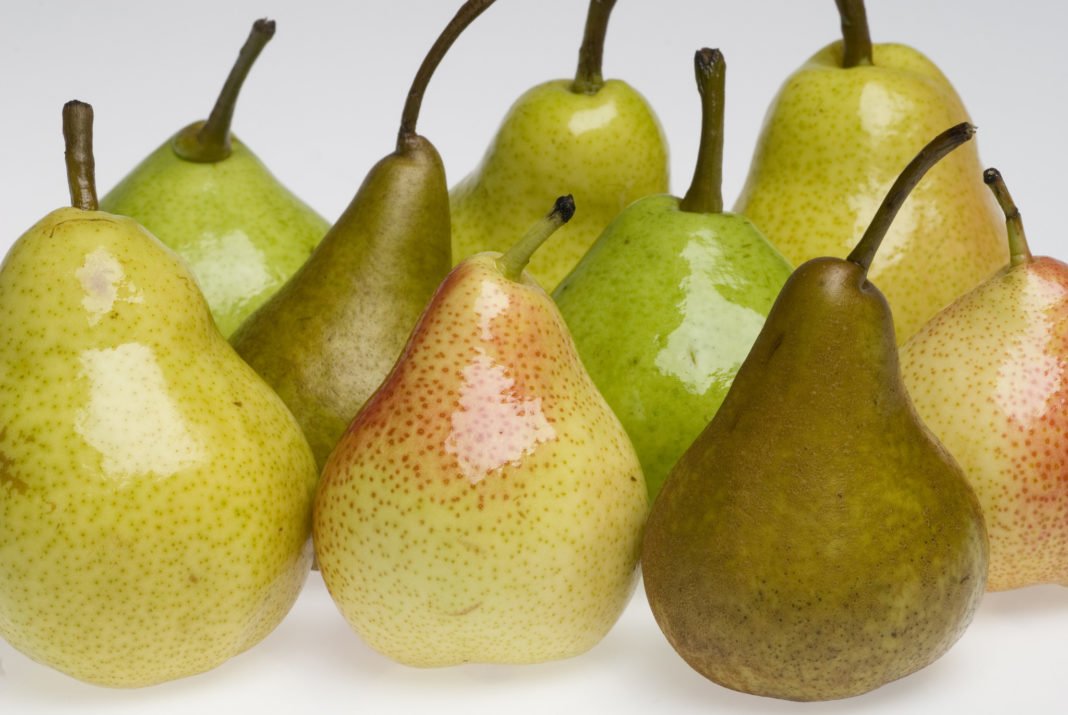 Health benefits of pears Health benefits of pears
