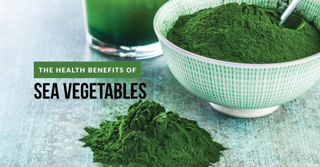 Health Benefits of Sea Vegetables