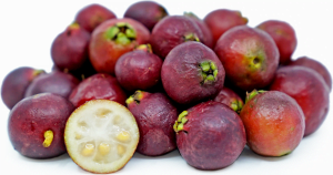 Strawberry guava improves eyesight and promotes brain health benefits of strawberry guava